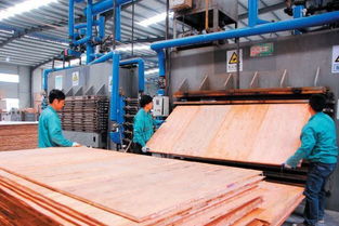 懷化工業(yè)園區(qū)鴻華 電子科技公司工人在進行生態(tài)板材的 熱壓工序圖