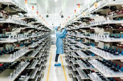 巴斯夫杉杉電池材料 主辦方供圖